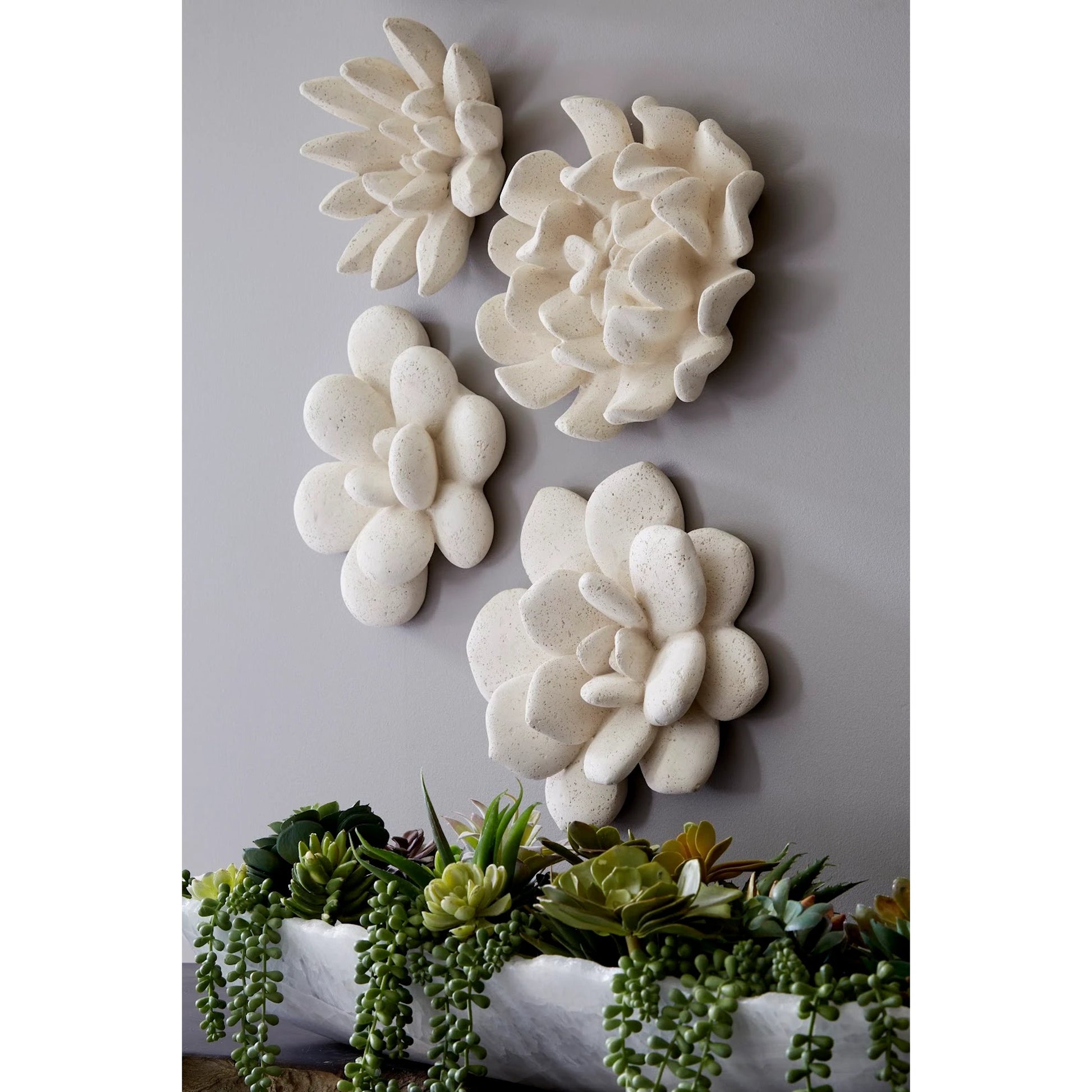 Compactum Succulent Wall Art by Phillips Collection. Made from unique in a modern style.