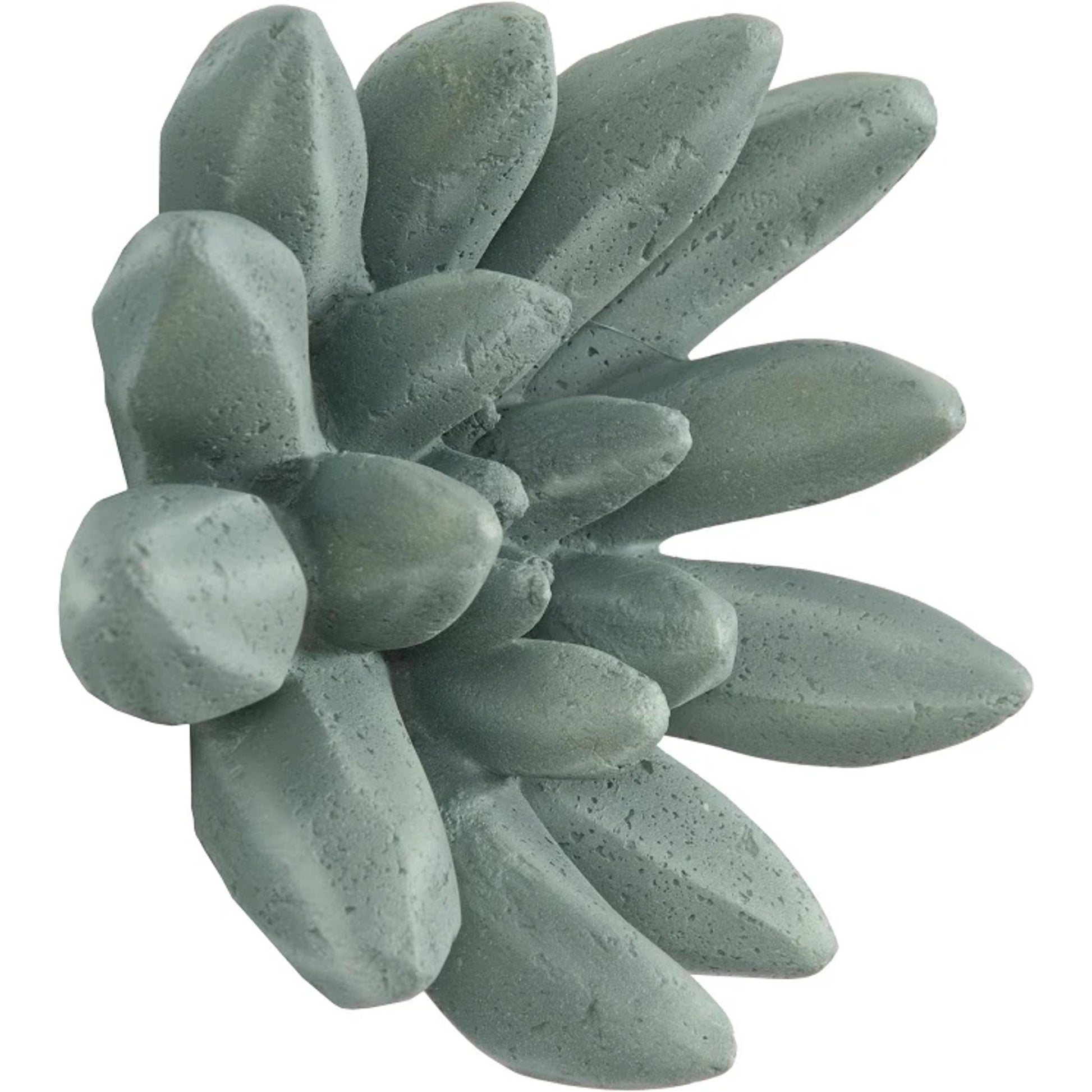 Compactum Succulent Wall Art by Phillips Collection. Made from unique in a modern style.