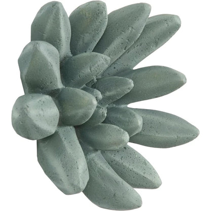 Compactum Succulent Wall Art by Phillips Collection. Made from unique in a modern style.