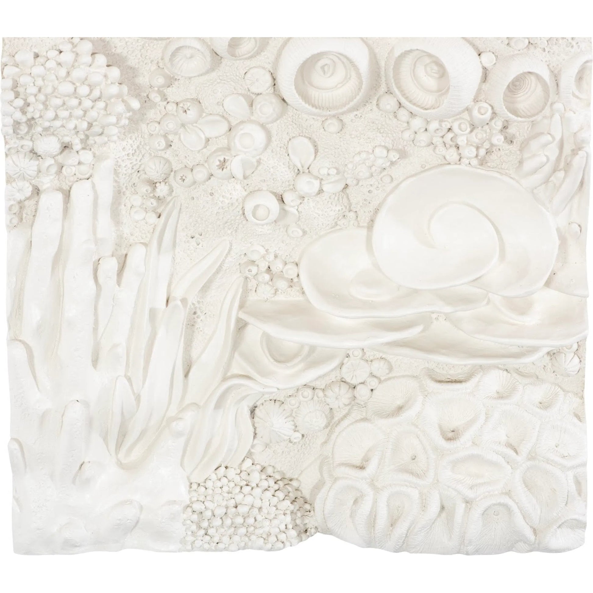 Coral Reef Wall Art I by Phillips Collection in off white. Made from resin in a coastal style.