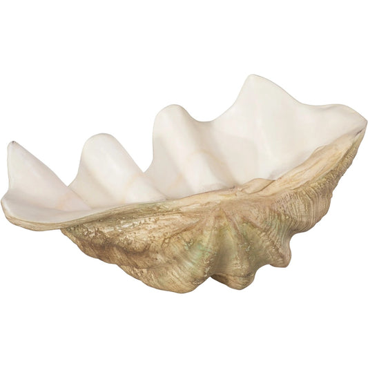 Cast Clam Shell Bowl Faux by Phillips Collection in beige, white. Made from resin in a coastal style.