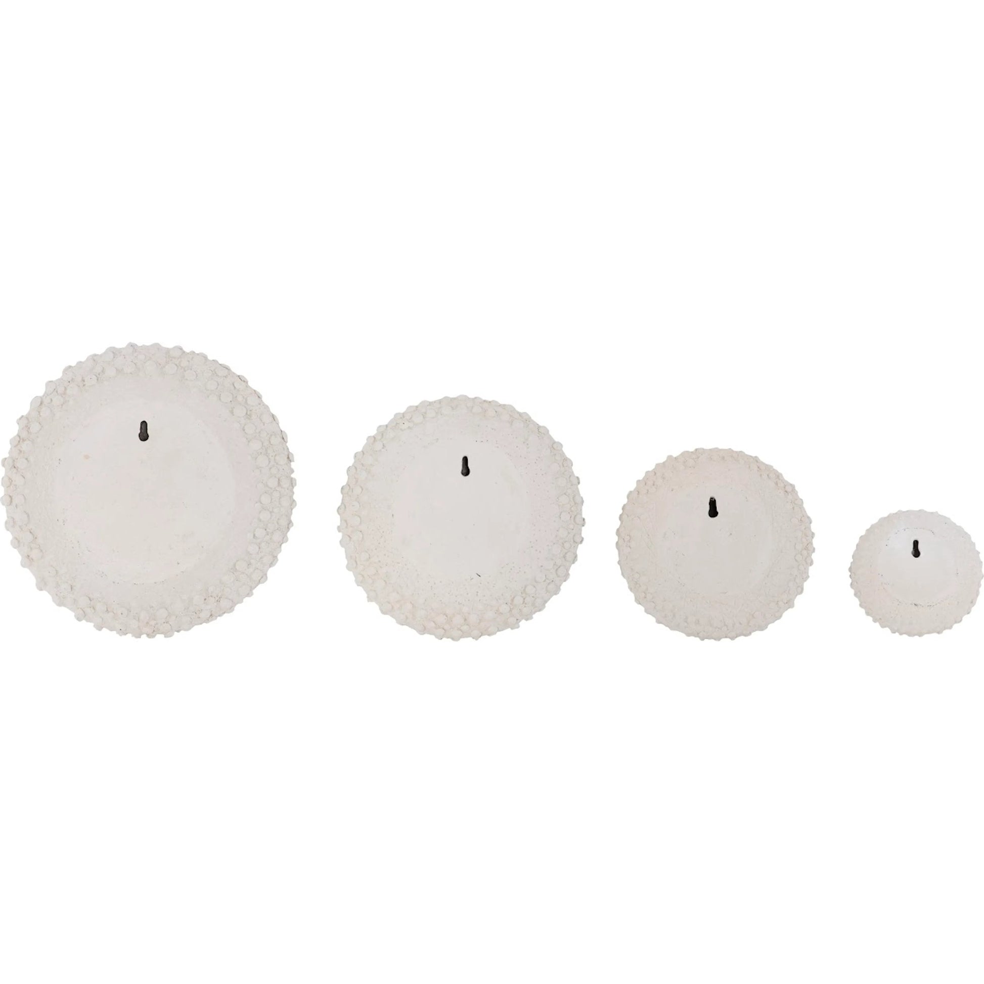 Sea Urchin Wall Art (Set of 4) by Phillips Collection in off white. Made from resin in a modern style.