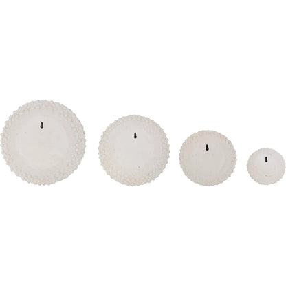 Sea Urchin Wall Art (Set of 4) by Phillips Collection in off white. Made from resin in a modern style.