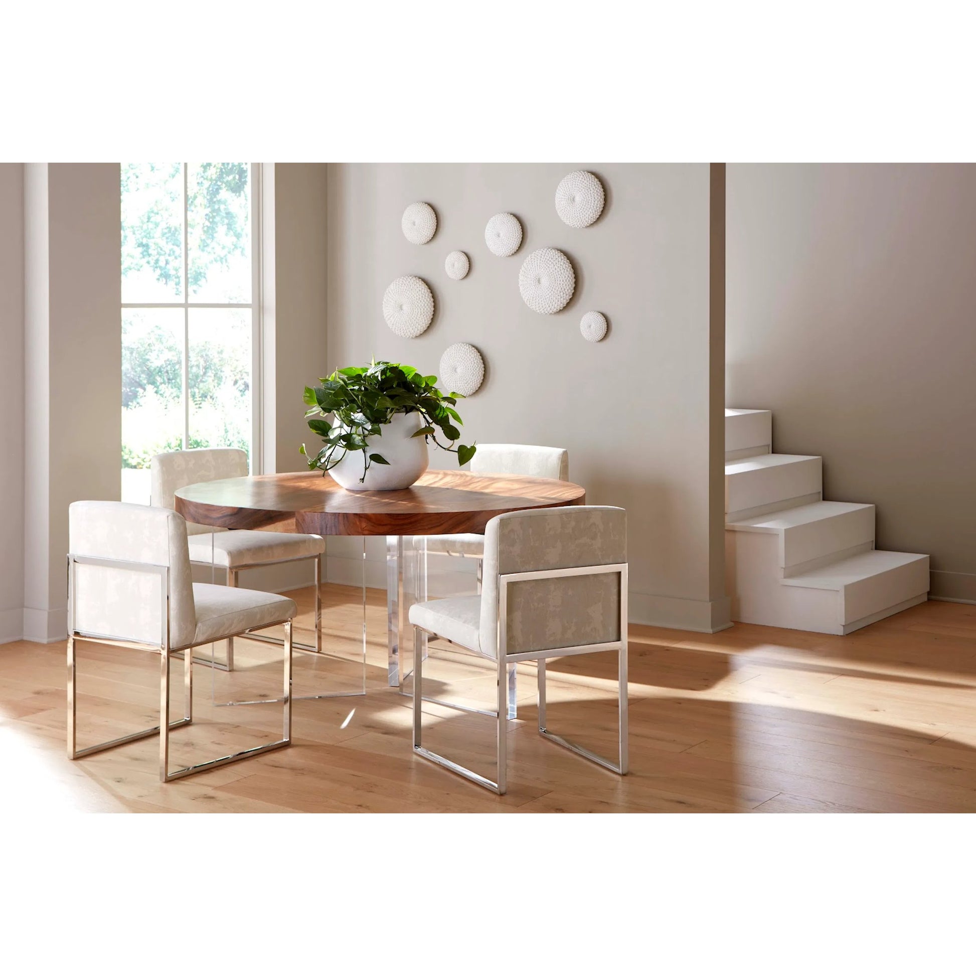 Sea Urchin Wall Art (Set of 4) by Phillips Collection in off white. Made from resin in a modern style.