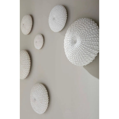 Sea Urchin Wall Art (Set of 4) by Phillips Collection in off white. Made from resin in a modern style.