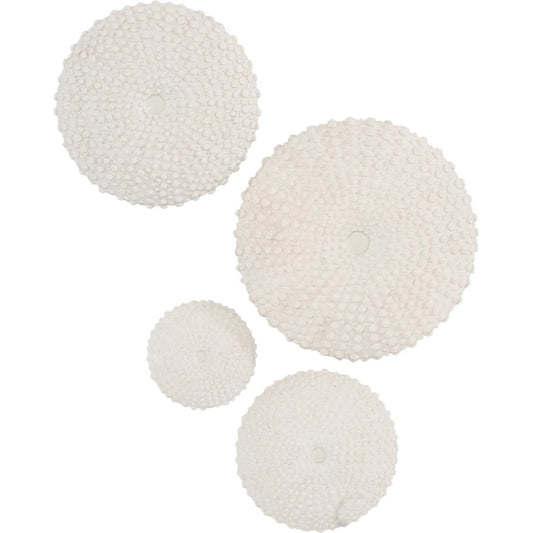 Sea Urchin Wall Art by Phillips Collection in off white. Made from resin in a unique style.