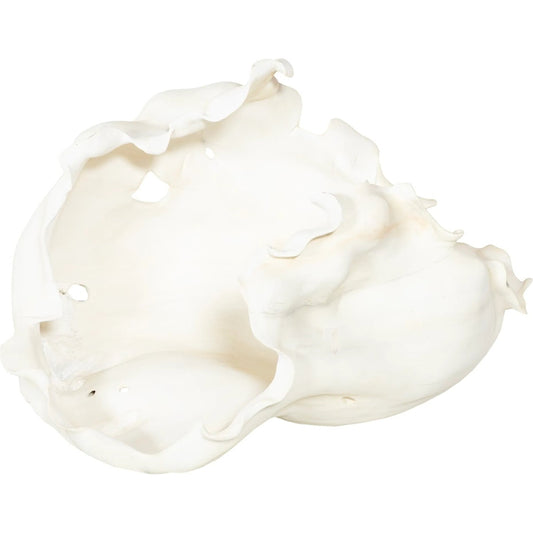 Cast Root Bowl Open by Phillips Collection in off white and faux bleached. Made from resin in a unique style.