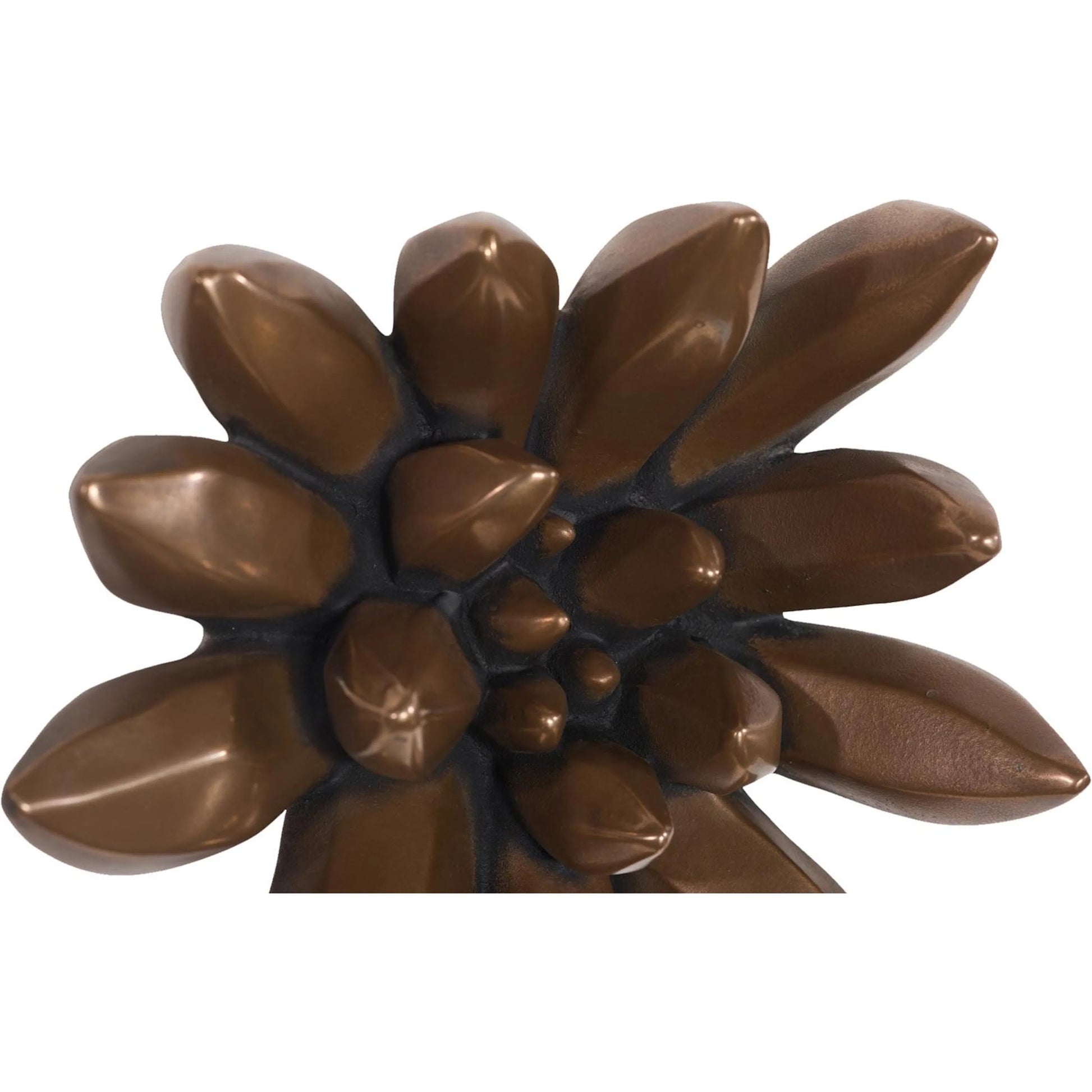 Compactum Succulent Wall Art Imperial by Phillips Collection in brown and bronze. Made from resin in a unique style.