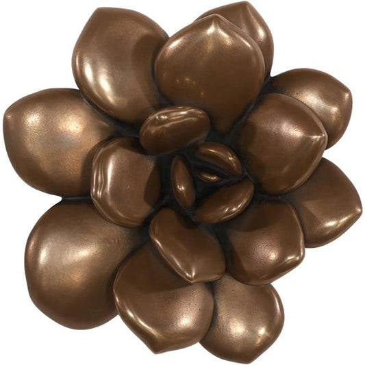 Laui Succulent Wall Art Imperial by Phillips Collection in brown and bronze. Made from resin in a unique style.