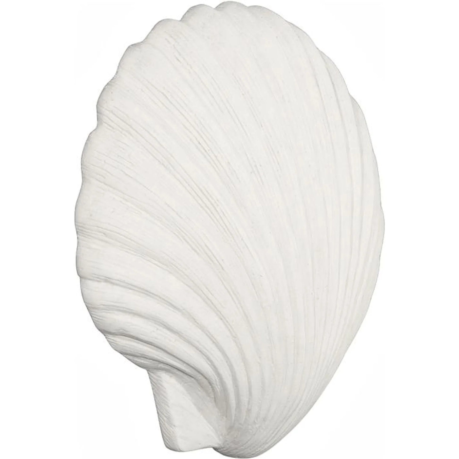 Sea Shell Wall Art by Phillips Collection in off white and white stone. Made from resin, stone composite in a unique style.