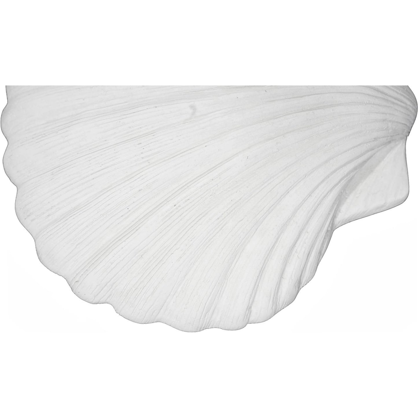 006 SI-2623797 | Closeup | Sea Shell Wall Art by Phillips Collection in off white and white stone. Made from resin, stone composite in a unique style.