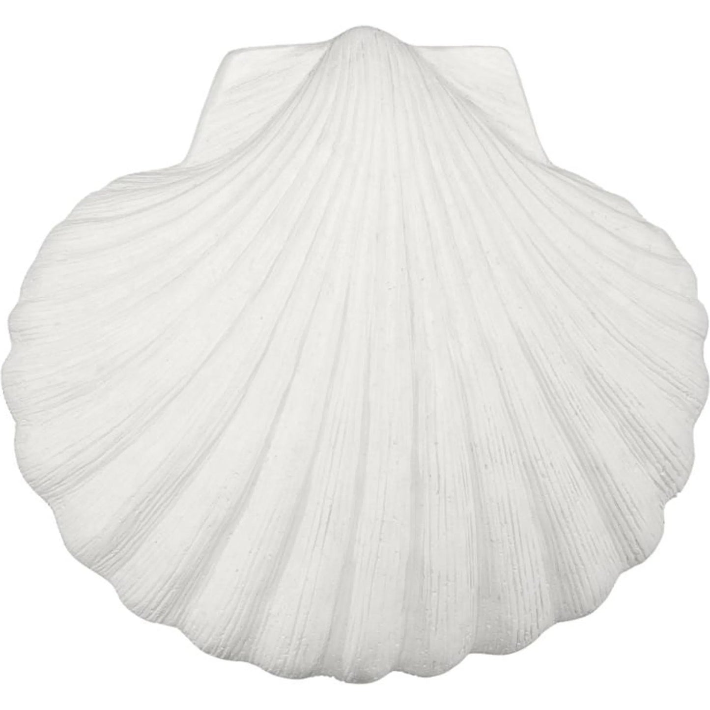 003 SI-2623797 | Additional Silo | Sea Shell Wall Art by Phillips Collection in off white and white stone. Made from resin, stone composite in a unique style.