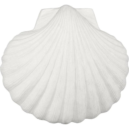 Sea Shell Wall Art by Phillips Collection in off white and white stone. Made from resin, stone composite in a unique style.