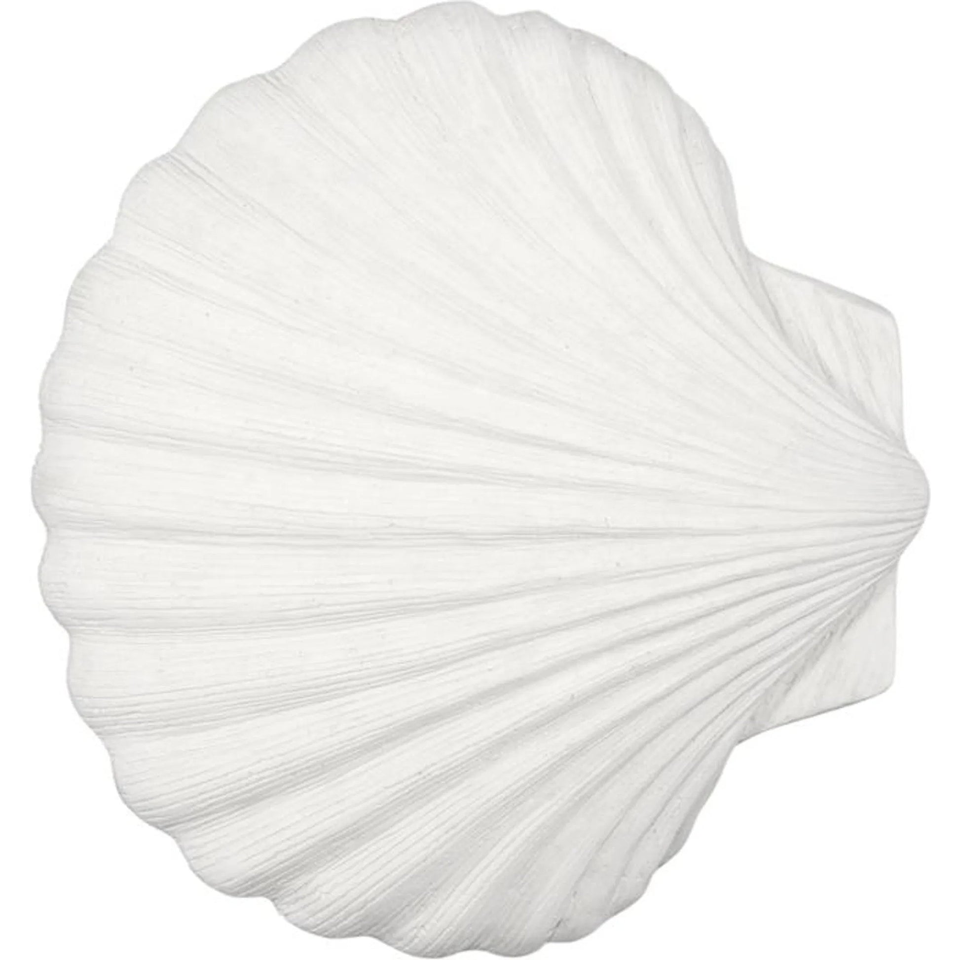Sea Shell Wall Art by Phillips Collection in off white and white stone. Made from resin, stone composite in a unique style.