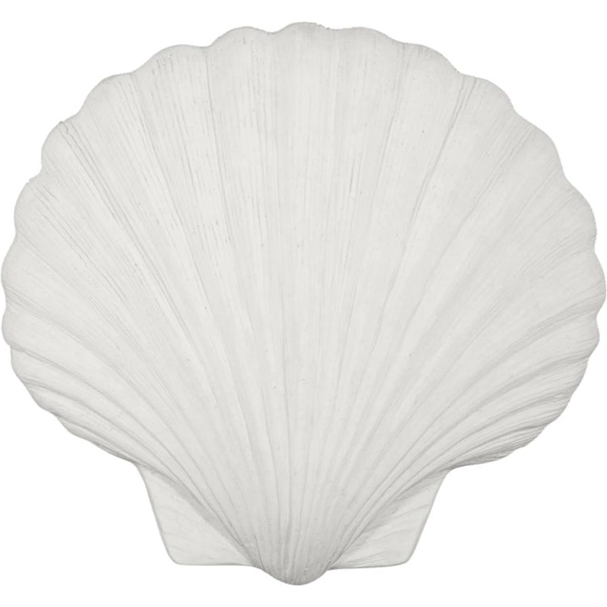 Sea Shell Wall Art by Phillips Collection in off white and white stone. Made from resin, stone composite in a unique style.