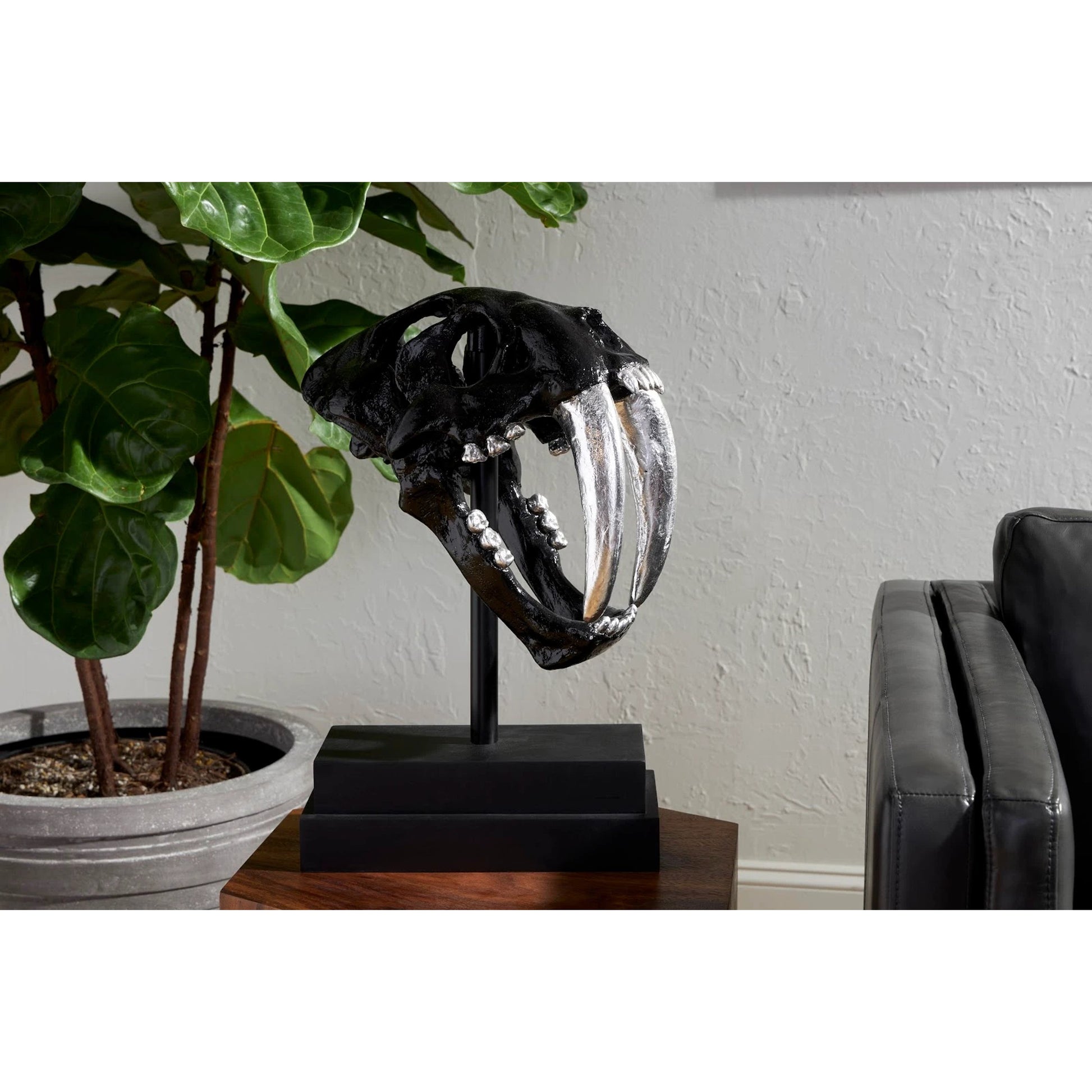 Saber Tooth Tiger Skull by Phillips Collection. Made from unique in a eclectic & global style.