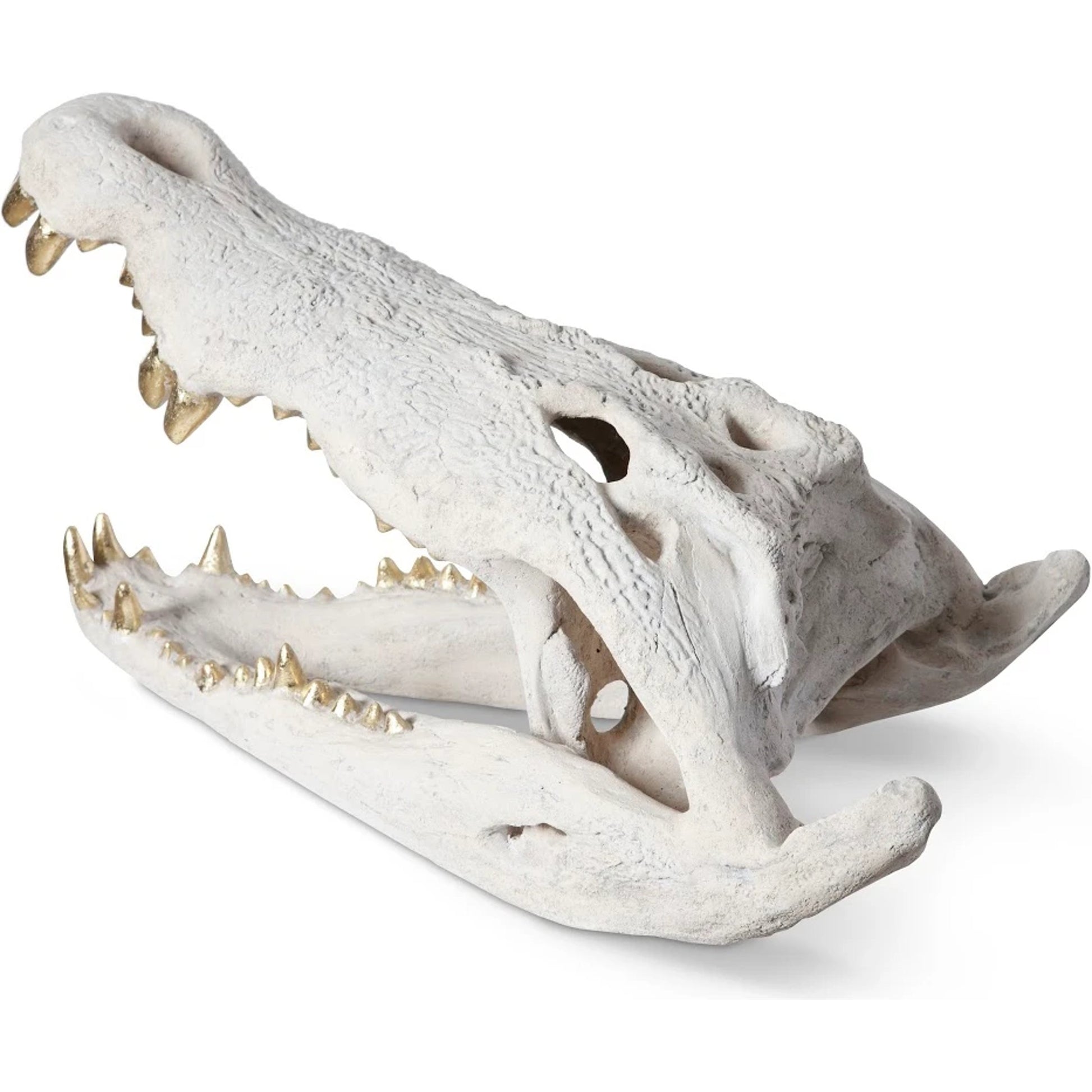 Crocodile Skull by Phillips Collection. Made from unique in a eclectic & global style.