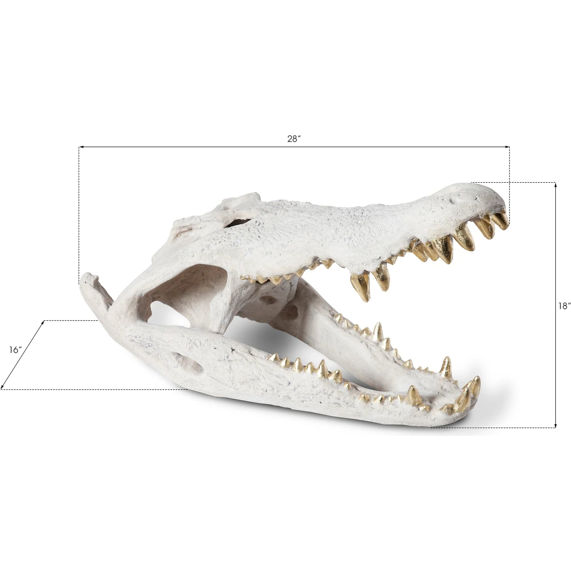 Crocodile Skull by Phillips Collection. Made from unique in a eclectic & global style.