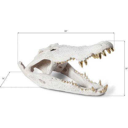 Crocodile Skull by Phillips Collection. Made from unique in a eclectic & global style.