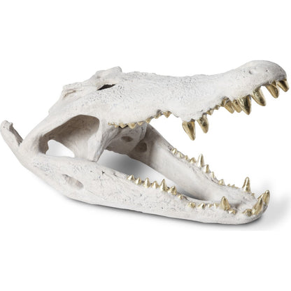 Crocodile Skull by Phillips Collection. Made from unique in a eclectic & global style.