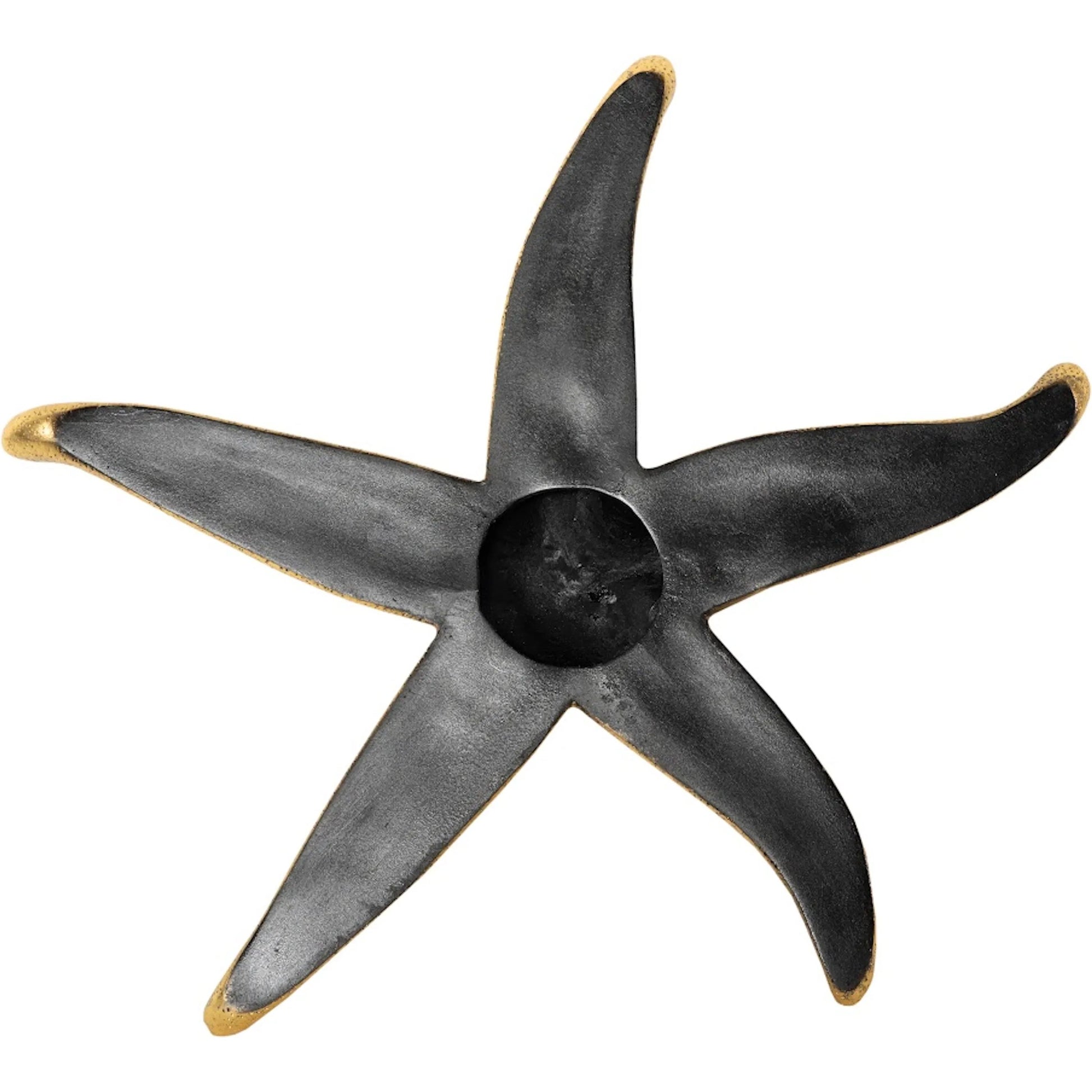 Starfish (Set of 4) by Phillips Collection. Made from resin in a coastal style.