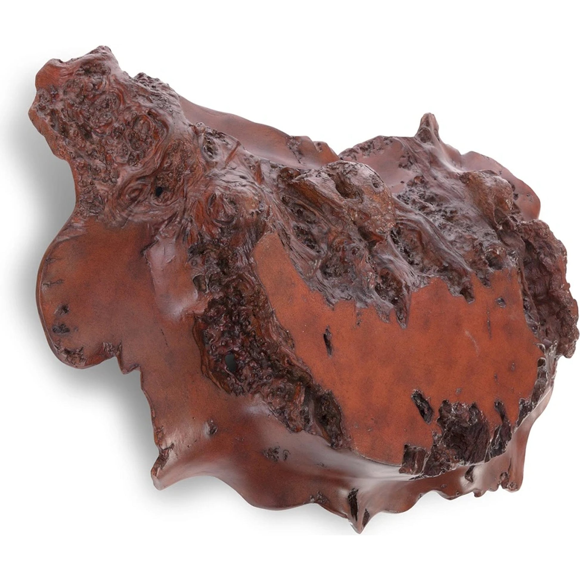 Burled Rosewood Wall Art by Phillips Collection in brown and faux bois. Made from resin, faux bois in a rustic style.