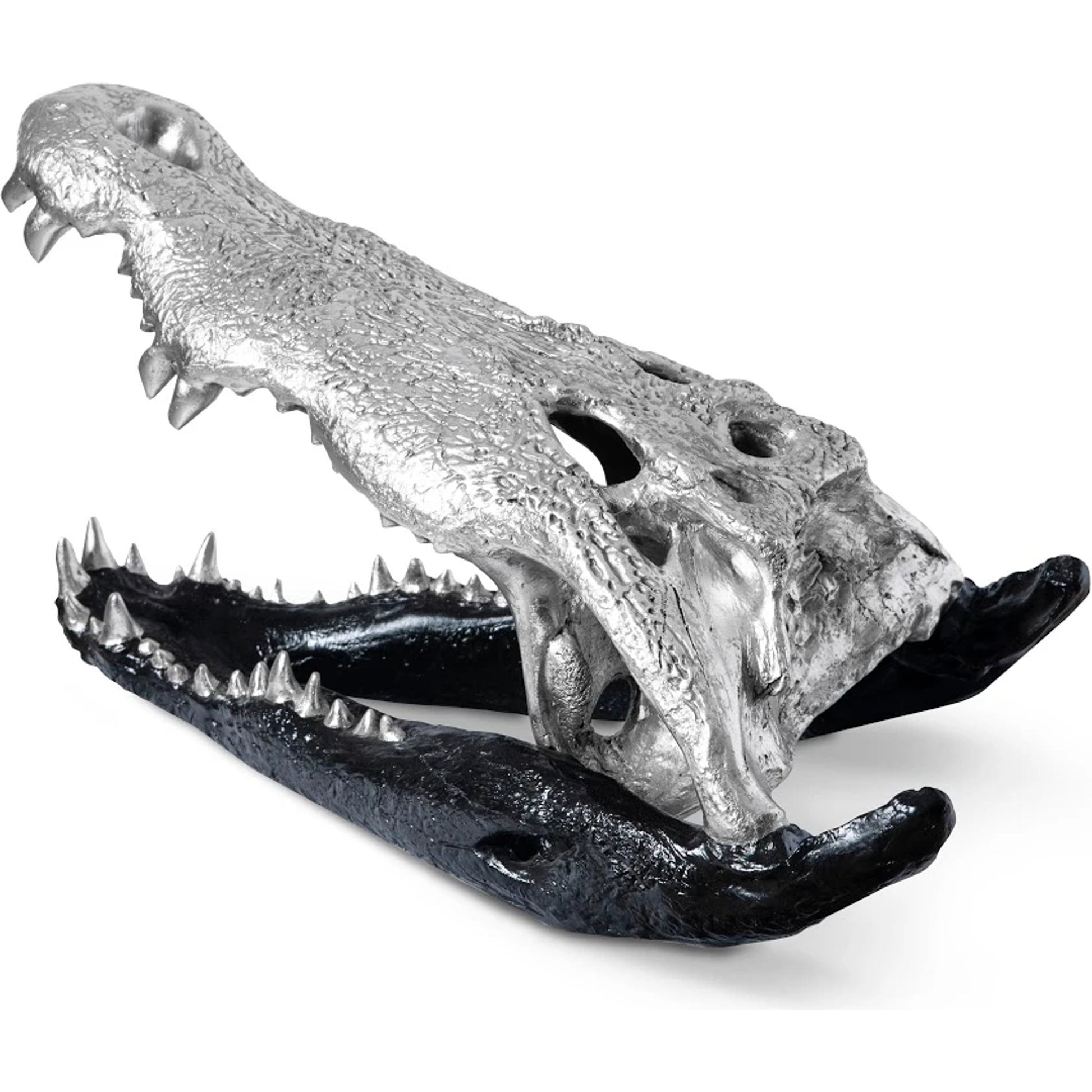 Crocodile Skull by Phillips Collection. Made from unique in a eclectic & global style.