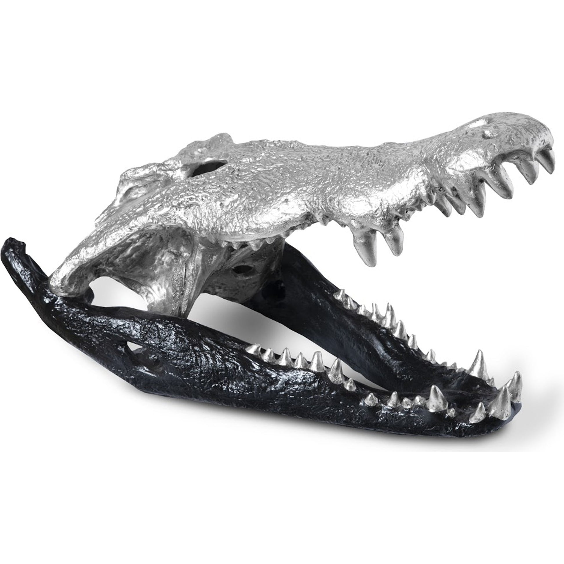 Crocodile Skull by Phillips Collection. Made from unique in a eclectic & global style.