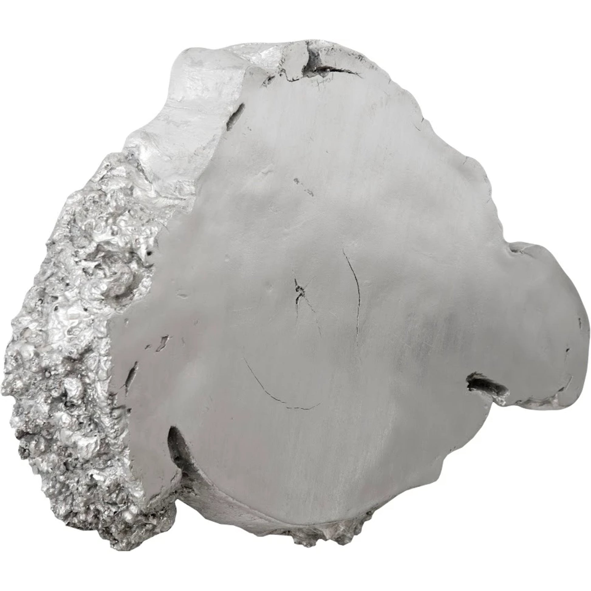 Burled Root Wall Art II by Phillips Collection. Made from resin in a modern style.