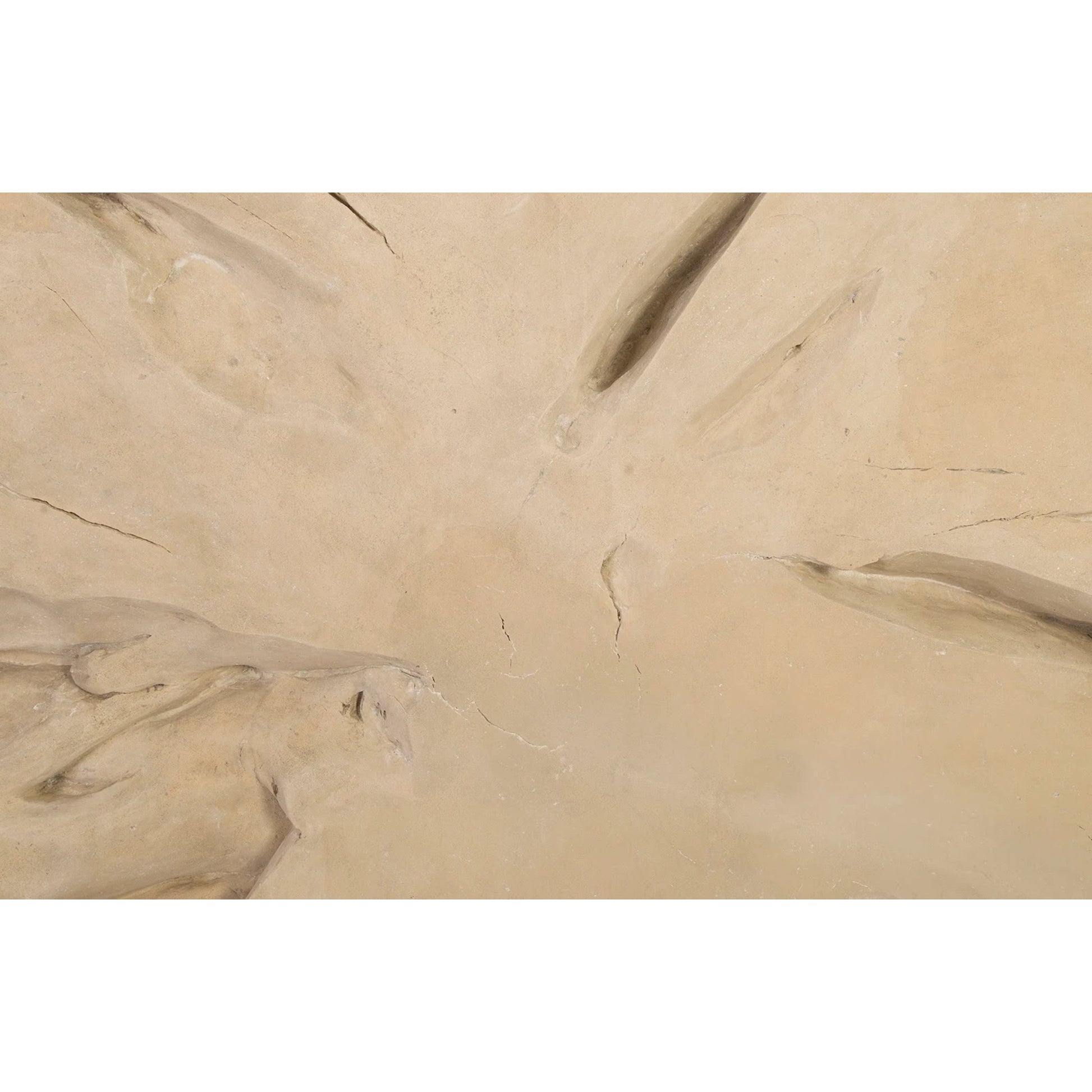 Freeform Wall Art by Phillips Collection. Made from resin in a eclectic & global style.