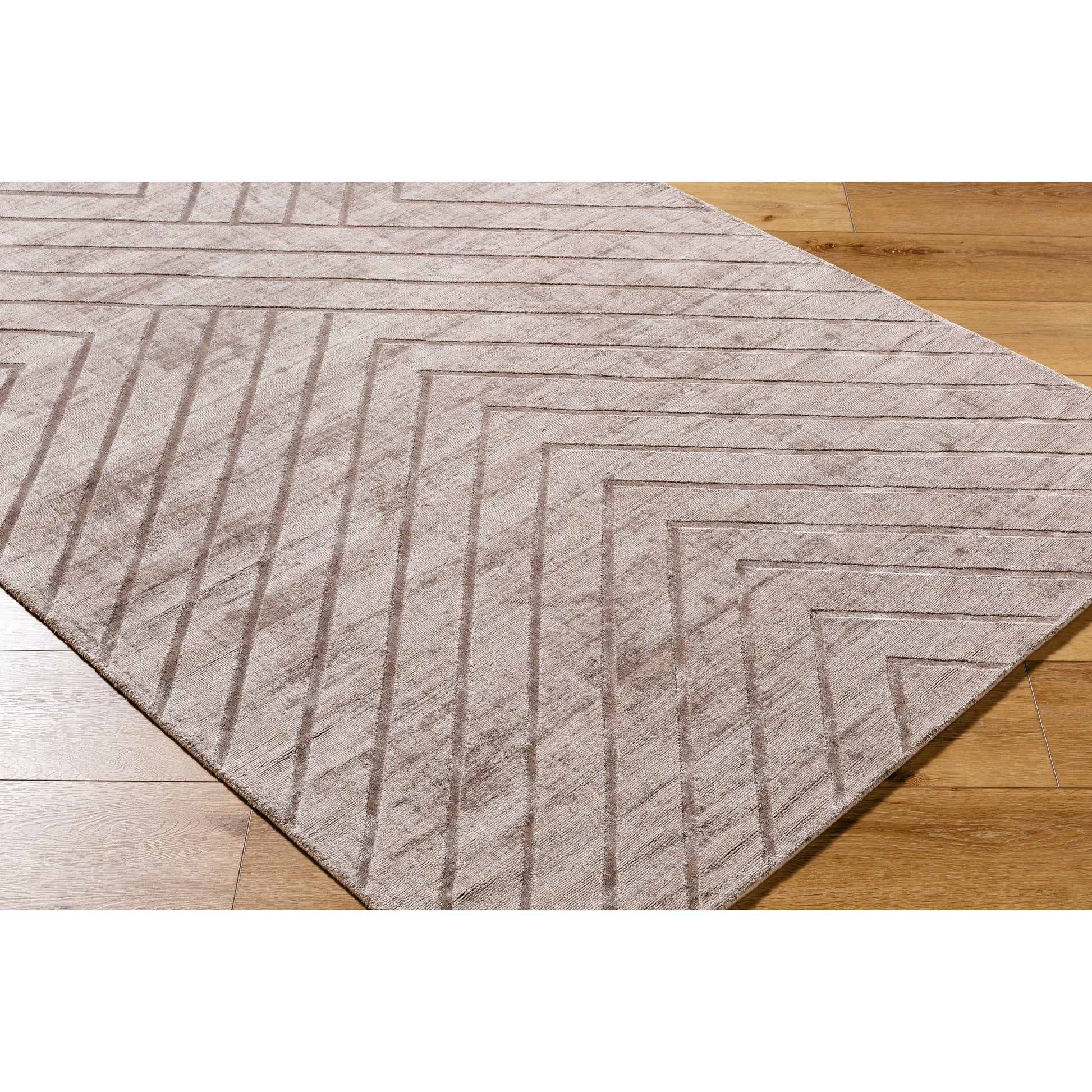Pier PIE-2307 Rug by Surya in taupe, sandstone, beige. Made from viscose in a unique style.