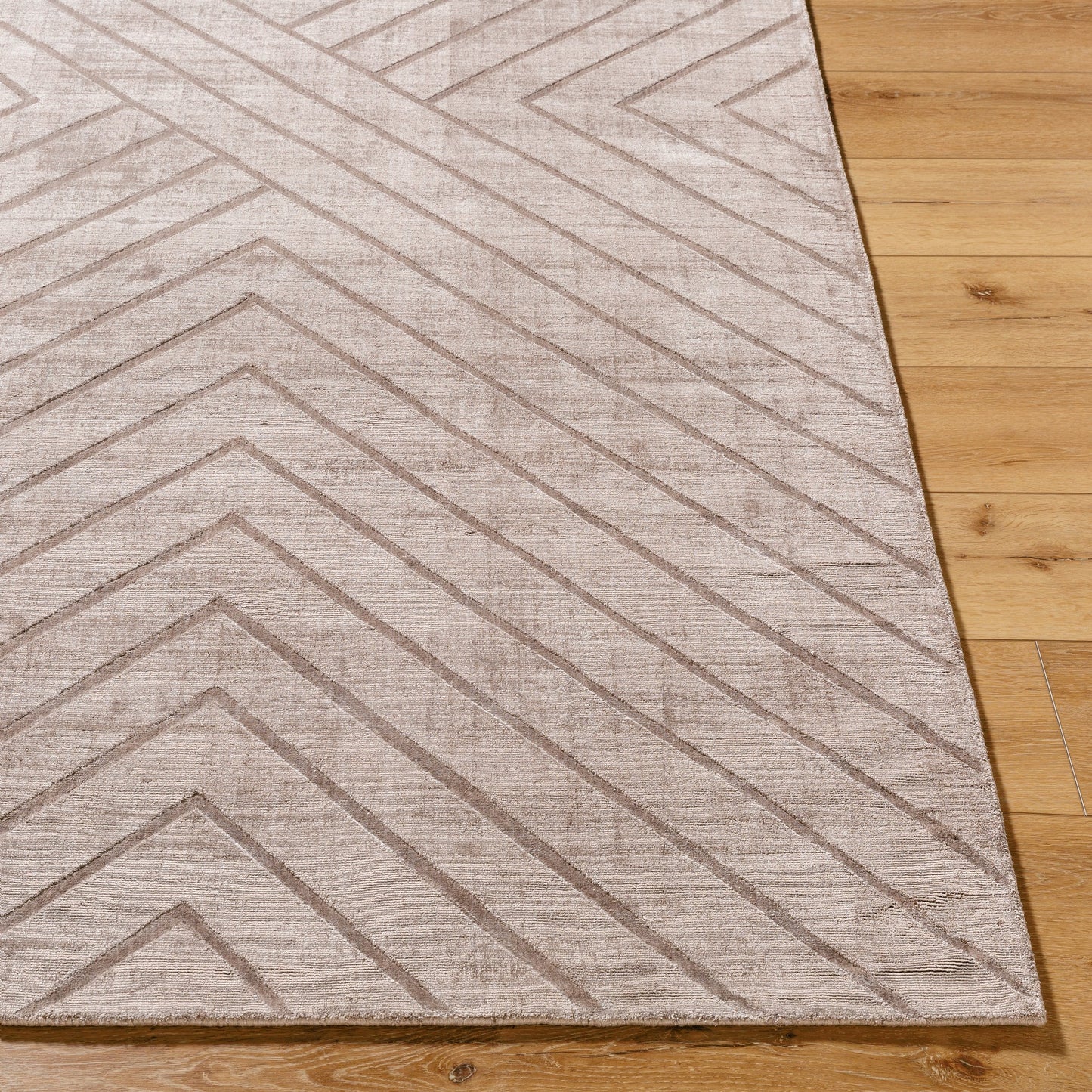 004 SI-2163274,SI-2163275,SI-2163276,SI-2163277,SI-2163278,SI-2163279 | Closeup | Pier PIE-2307 Rug by Surya in taupe, sandstone, beige. Made from viscose in a unique style.