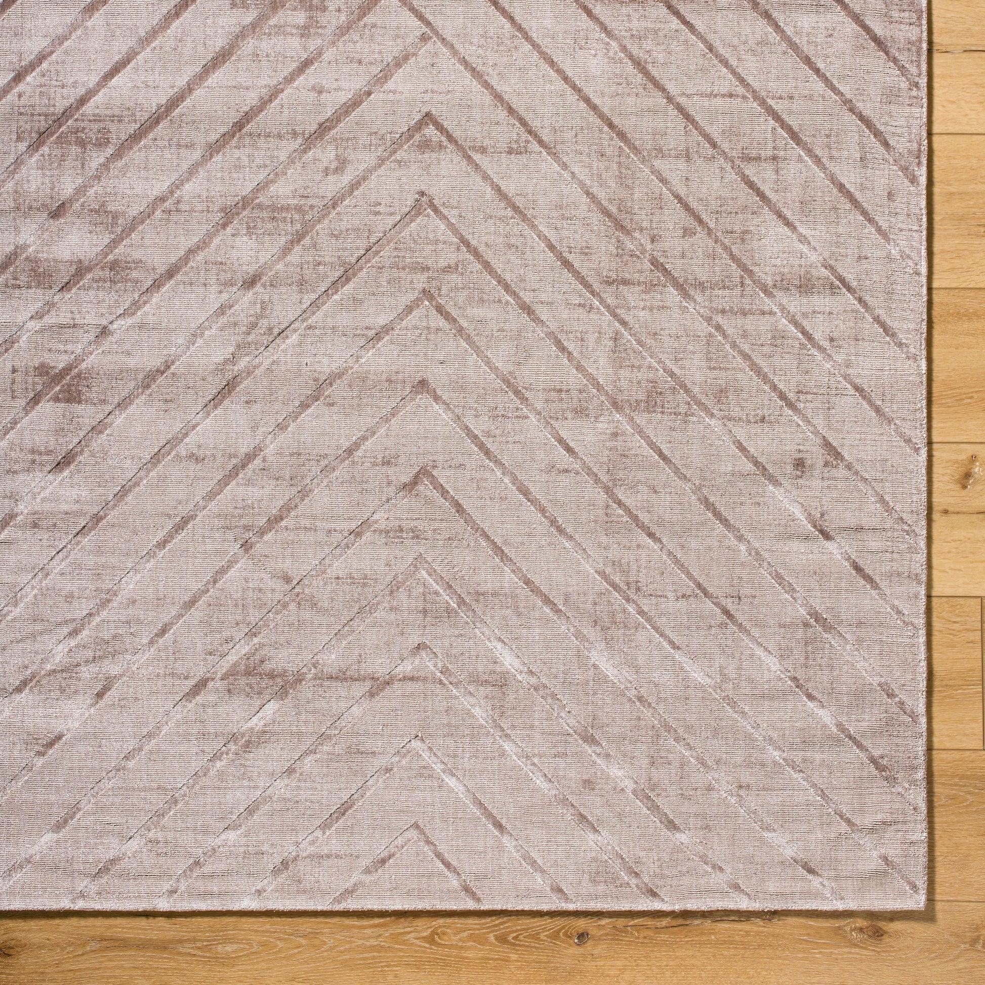 Pier PIE-2307 Rug by Surya in taupe, sandstone, beige. Made from viscose in a unique style.