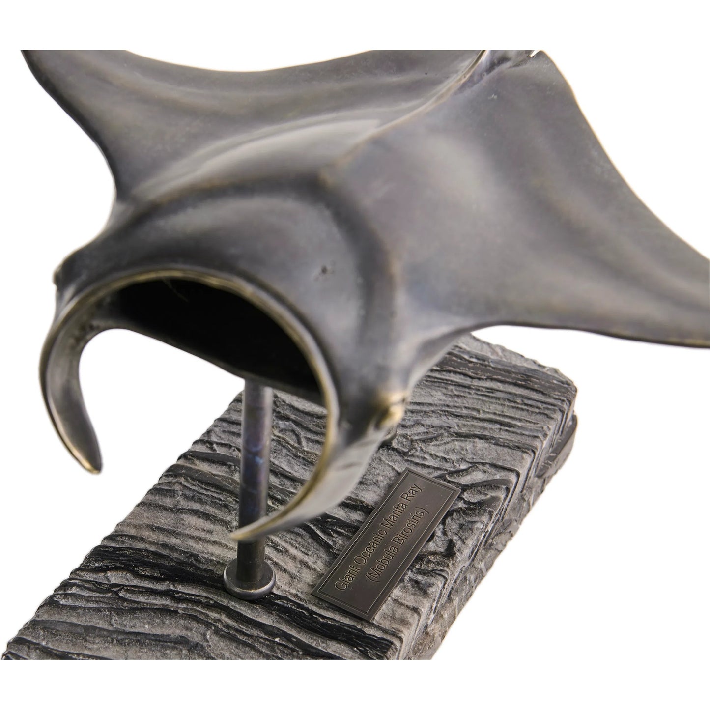 008 SI-2535728 | Closeup | Manta Ray Bronze Statue with Marble Base by Jonathan Charles in dark rustic waxed bronze. Made from main brass in a unique style.