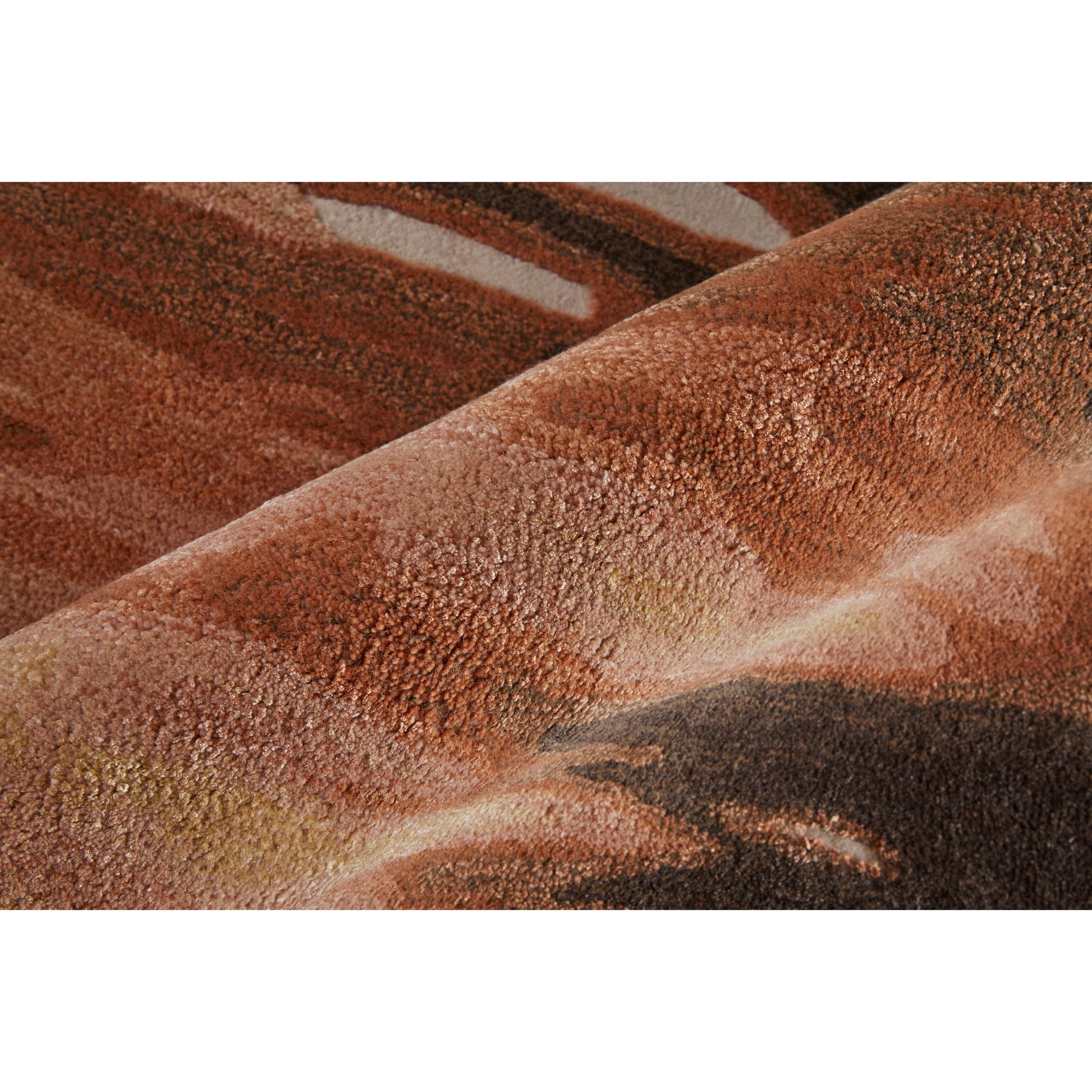 Anya Transitional Rug - 8883F by Feizy in red, brown, orange. Made from wool, viscose in a unique style.