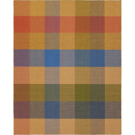 Pleda PLE03 Rug by Jaipur Living in multicolor. Made from 100% wool in a unique style.
