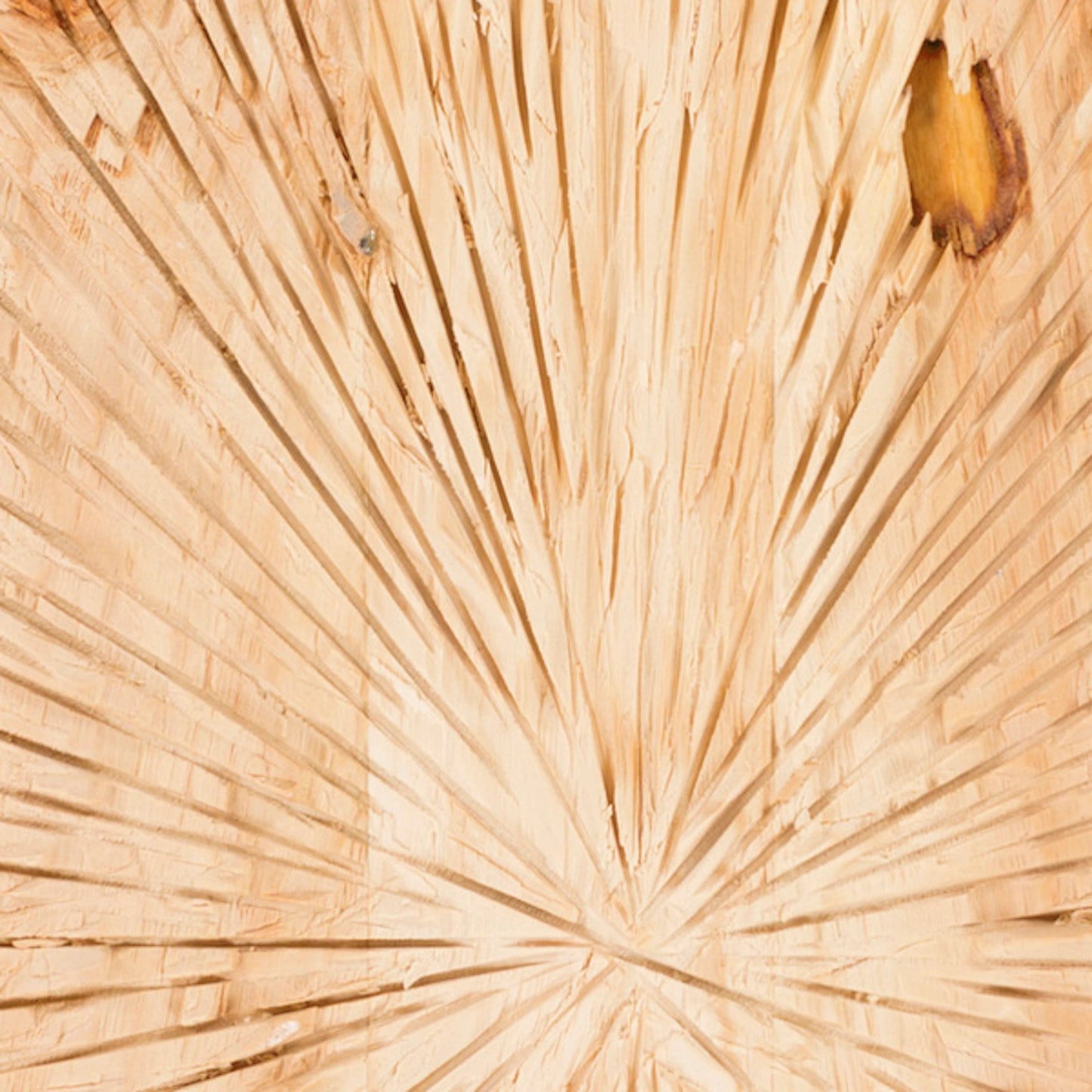 002 O-SURYA-PLM8000-3636 | Closeup | Surya Wall Decor Wall Art Piece - 16712 by Surya in brown. Made from wood in a rustic style.