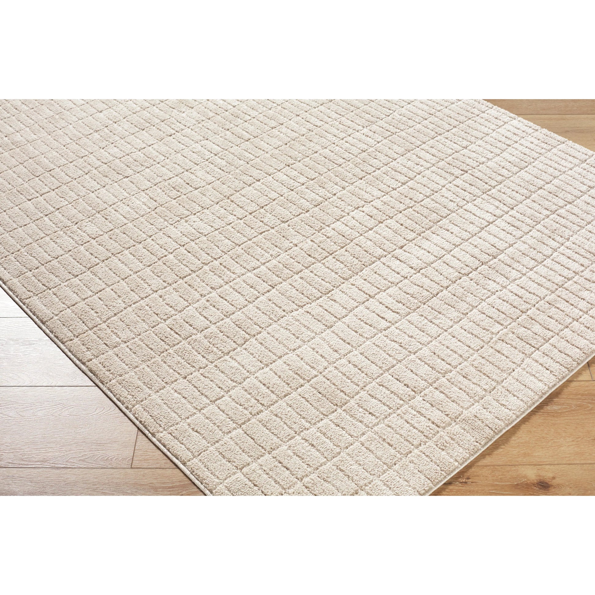 Cascade PNWCS-2306 Rug by Our PNW Home x Livabliss. Made from polyester in a unique style.