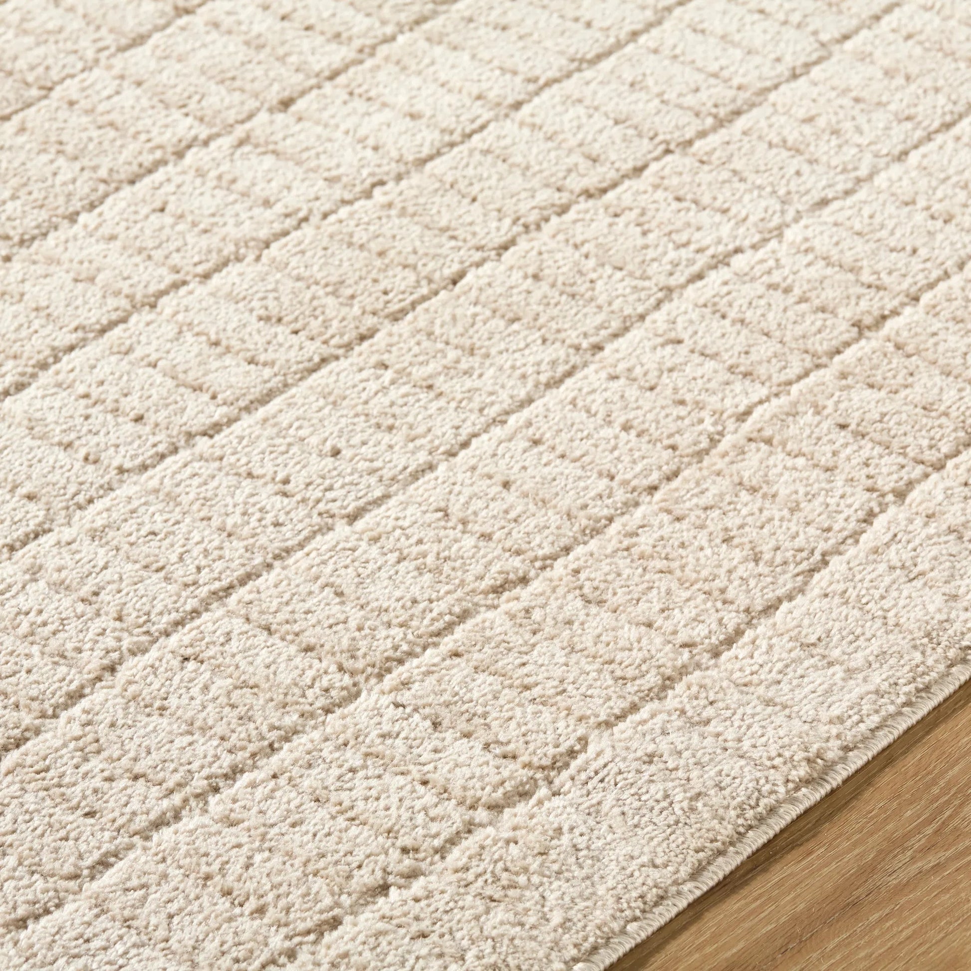 Cascade PNWCS-2306 Rug by Our PNW Home x Livabliss. Made from polyester in a unique style.