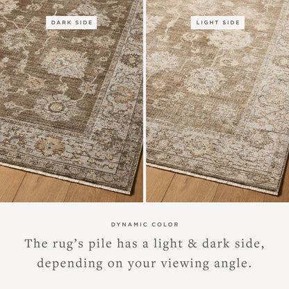 Priscilla PRL-01 Rug by Loloi in bark, ivory. Made from 100% polyester in a unique style.
