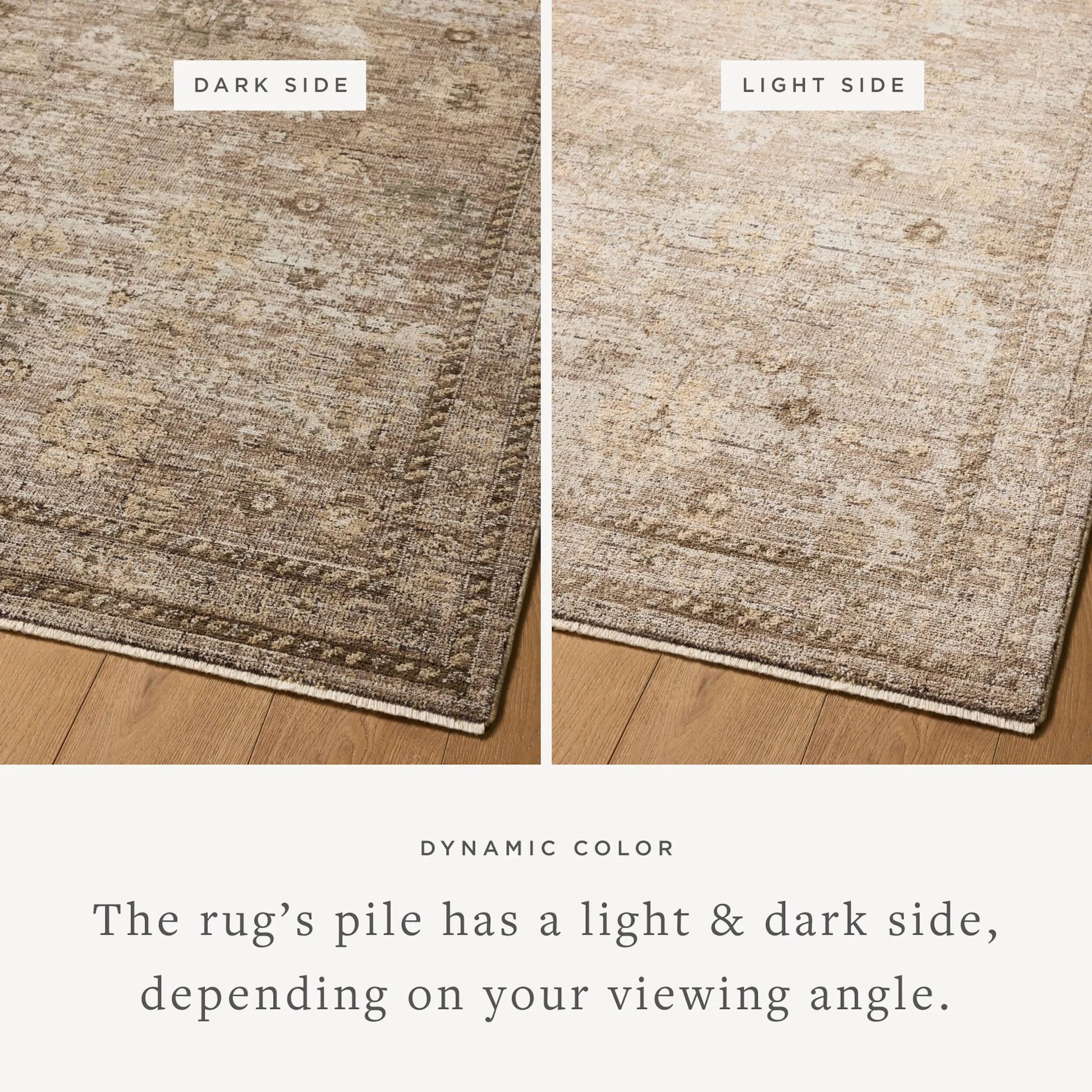 Priscilla PRL-05 Rug by Loloi in sand, earth. Made from 100% polyester in a unique style.