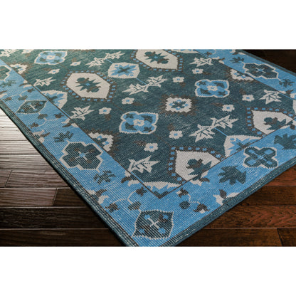 Pazar Rug - 10341 by Surya. Made from 80% wool, 20% cotton in a unique style.