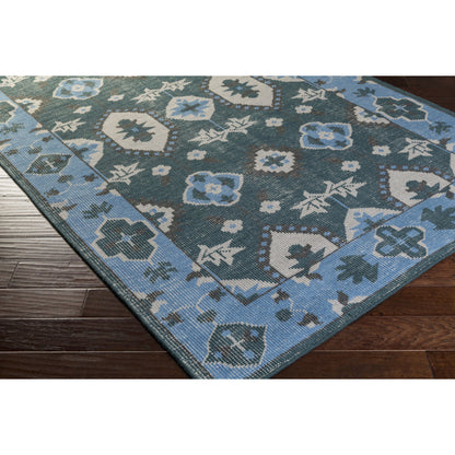 Pazar Rug - 10341 by Surya. Made from 80% wool, 20% cotton in a unique style.