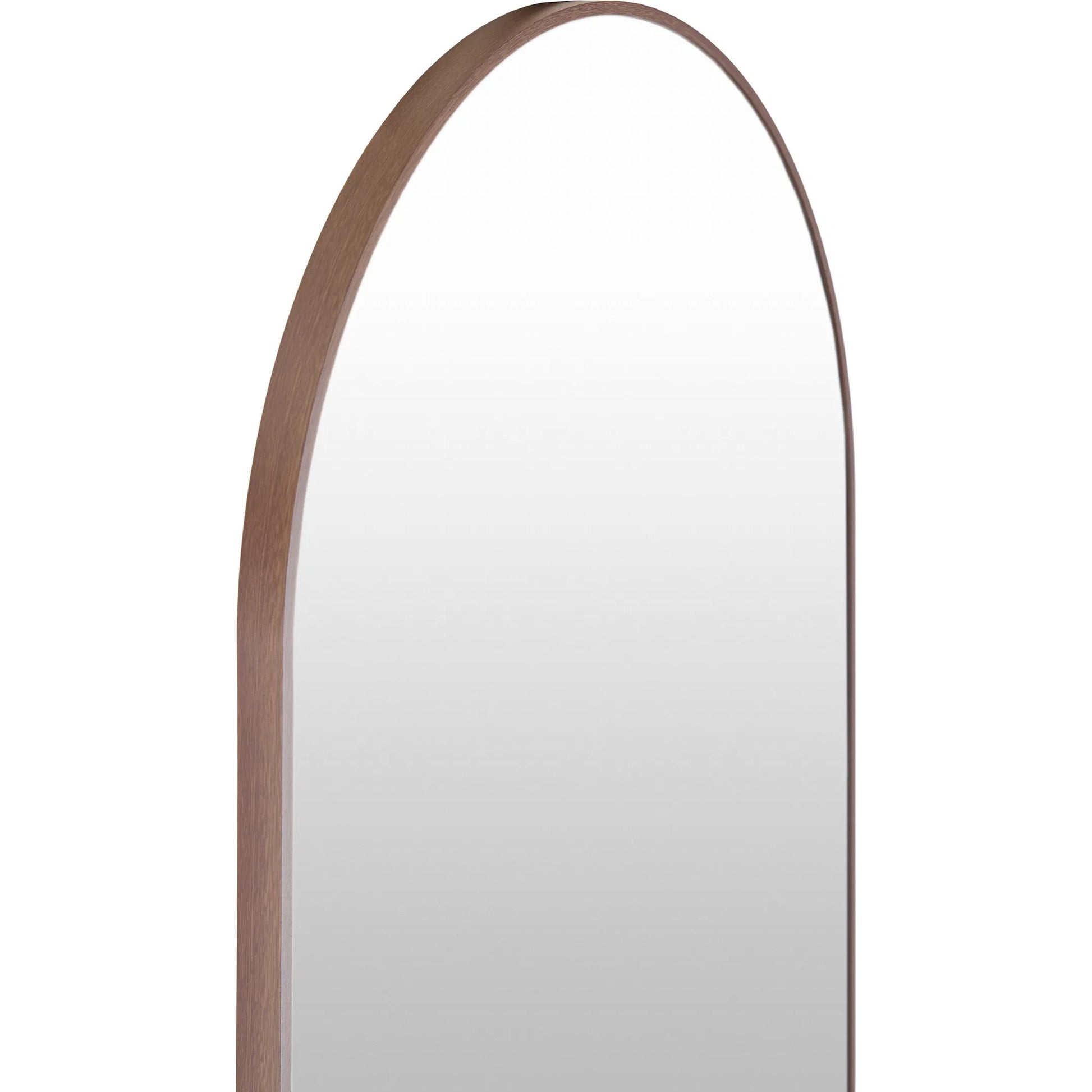 Aranya Vertical Accent Mirror by Livabliss in natural. Made from aluminum in a transitional style.
