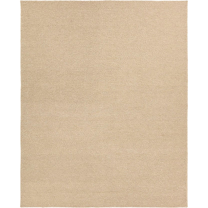 Rebecca RBC16 Indoor/Outdoor Rug by Jaipur Living in tan. Made from 100% pet yarn in a unique style.