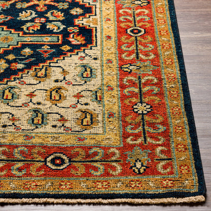 Reign REG-2300 Rug by Surya in navy, tan, beige, rust, mustard, blue. Made from 100% new zealand wool in a unique style.