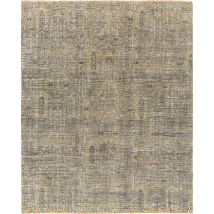 Reign REG-2302 Rug by Surya in sage, brown, pale blue, light olive, light beige, black. Made from face: 100% new zealand wool, warp: 100% cotton in a unique style.