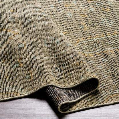Reign REG-2302 Rug by Surya in sage, brown, pale blue, light olive, light beige, black. Made from face: 100% new zealand wool, warp: 100% cotton in a unique style.