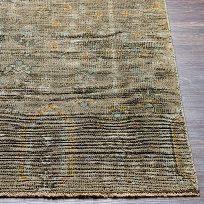 Reign REG-2302 Rug by Surya in sage, brown, pale blue, light olive, light beige, black. Made from face: 100% new zealand wool, warp: 100% cotton in a unique style.