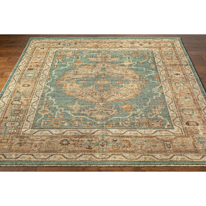 Reign REG-2304 Rug by Surya in dark green, beige, dusty sage, charcoal, tan. Made from unique in a unique style.